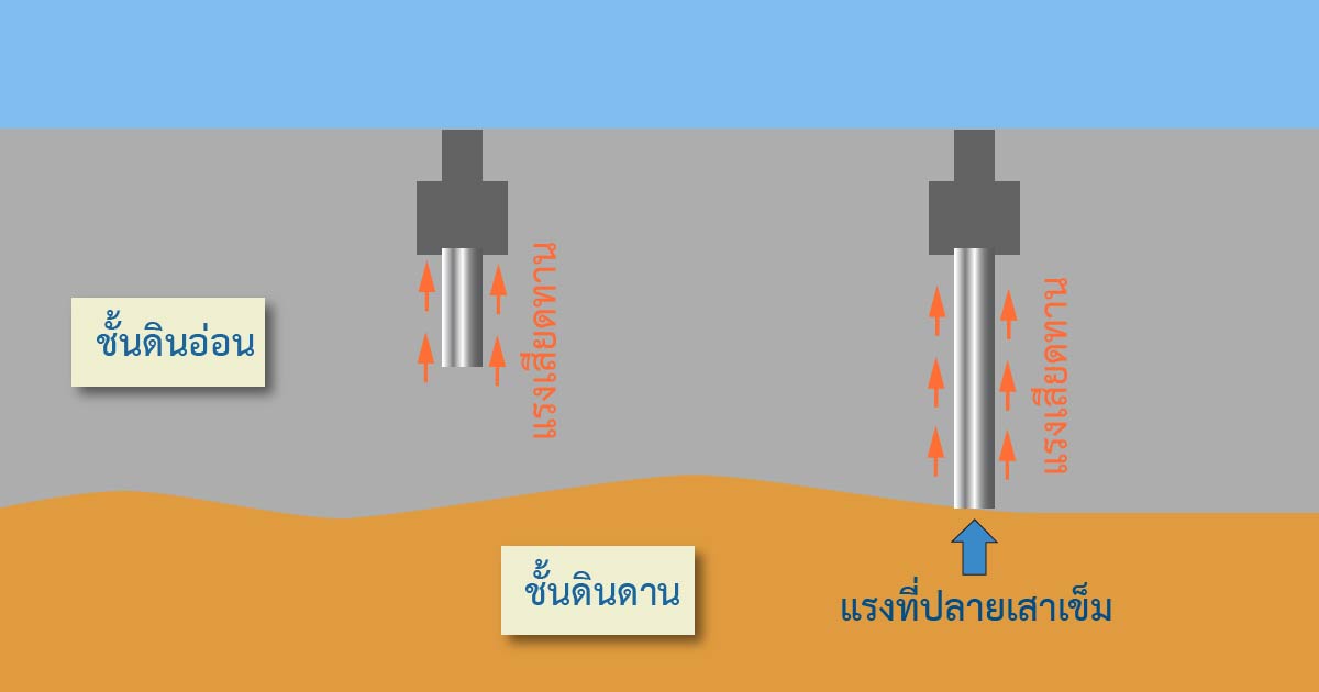 พฤติกรรมเสาเข็มสั้นกับยาว